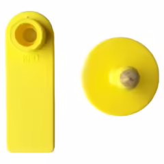 OREJERA-OVINO-RECTANGULAR