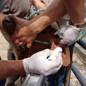 TINTA-INDELEBLE-ROLL-ON-65ML-NEGRO-VERDE-2