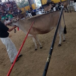 VARA-DE-MANEJO-FIJA-4