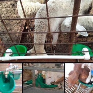 BEBEDERO-AUTOMATICO-PLASTICO-1,8L-4