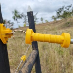 MANIGUETA-PORTILLO-3