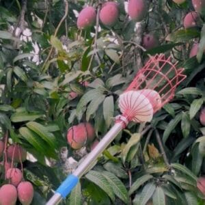 COSECHADOR-METALICO-PLEGABLE-3