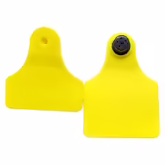 OREJERA-BOVINO-TIPO-ICA-DOBLE