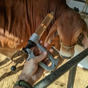 JERINGA-AUTOMATICA-FLEX-50ML-2