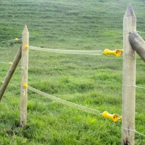 KIT-MANIGUETA-PORTILLO-2