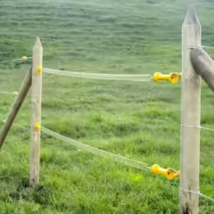 KIT-MANIGUETA-PORTILLO-2