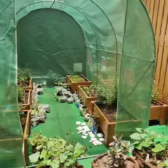 INVERNADERO-PORTATIL-2