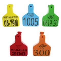 Orejera Bovino Tipo ZTag M Agrofácil