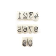 Set Números 0-9 3/8" Ganado Agrofacil